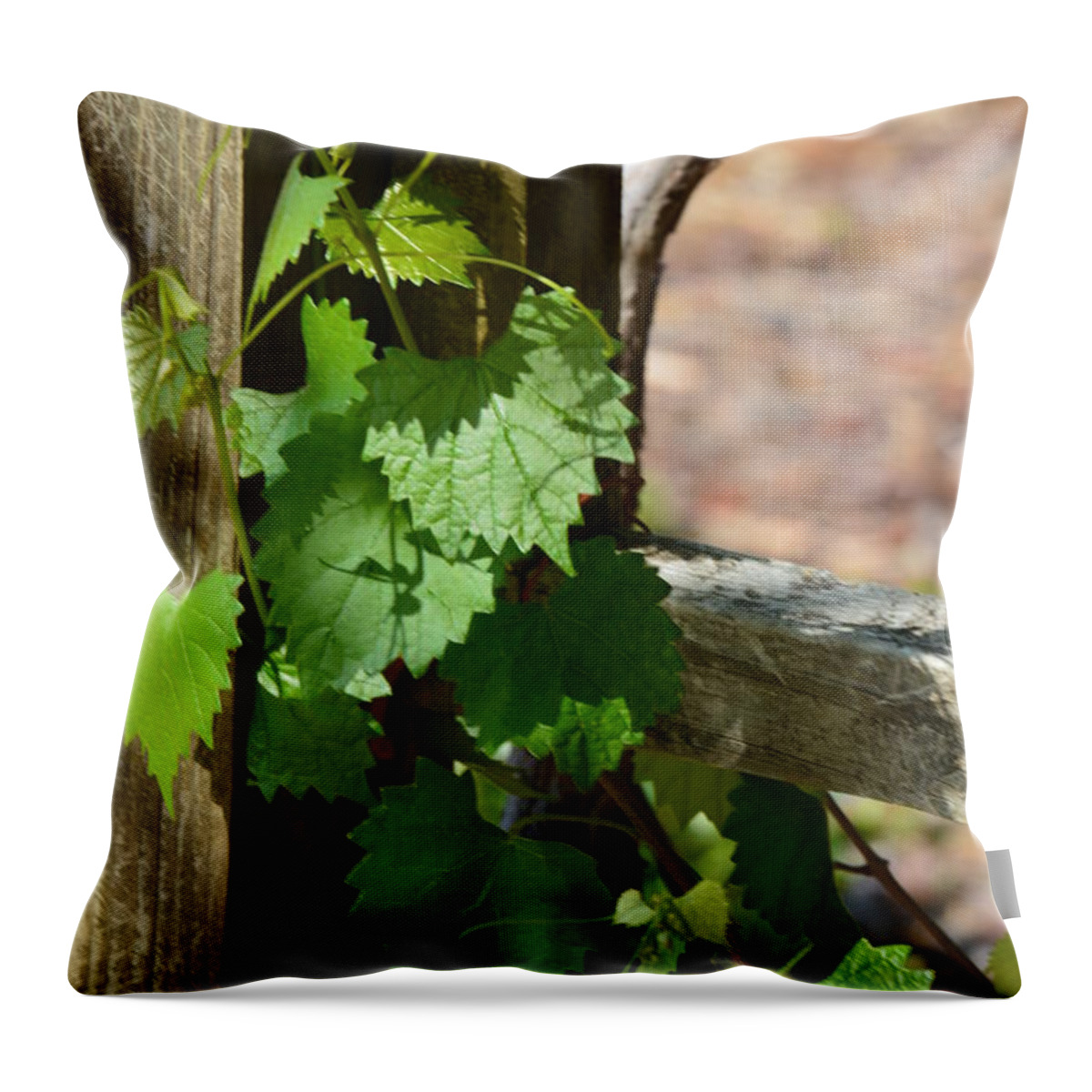 Simple Beauty Throw Pillow featuring the photograph Simple Beauty #1 by Maria Urso