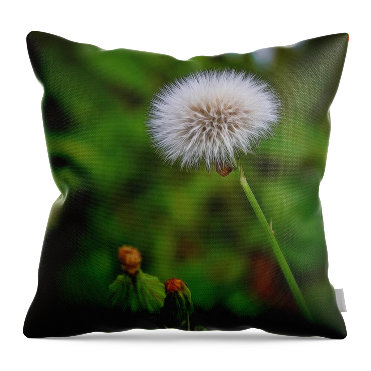 Art Prints Throw Pillow featuring the photograph Simplicity #3 by Dave Bosse