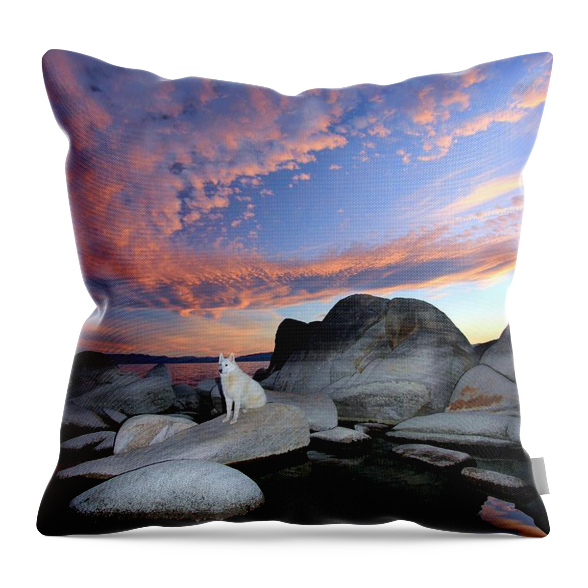 Portrait Throw Pillow featuring the photograph Sit Still For A Portrait #2 by Sean Sarsfield