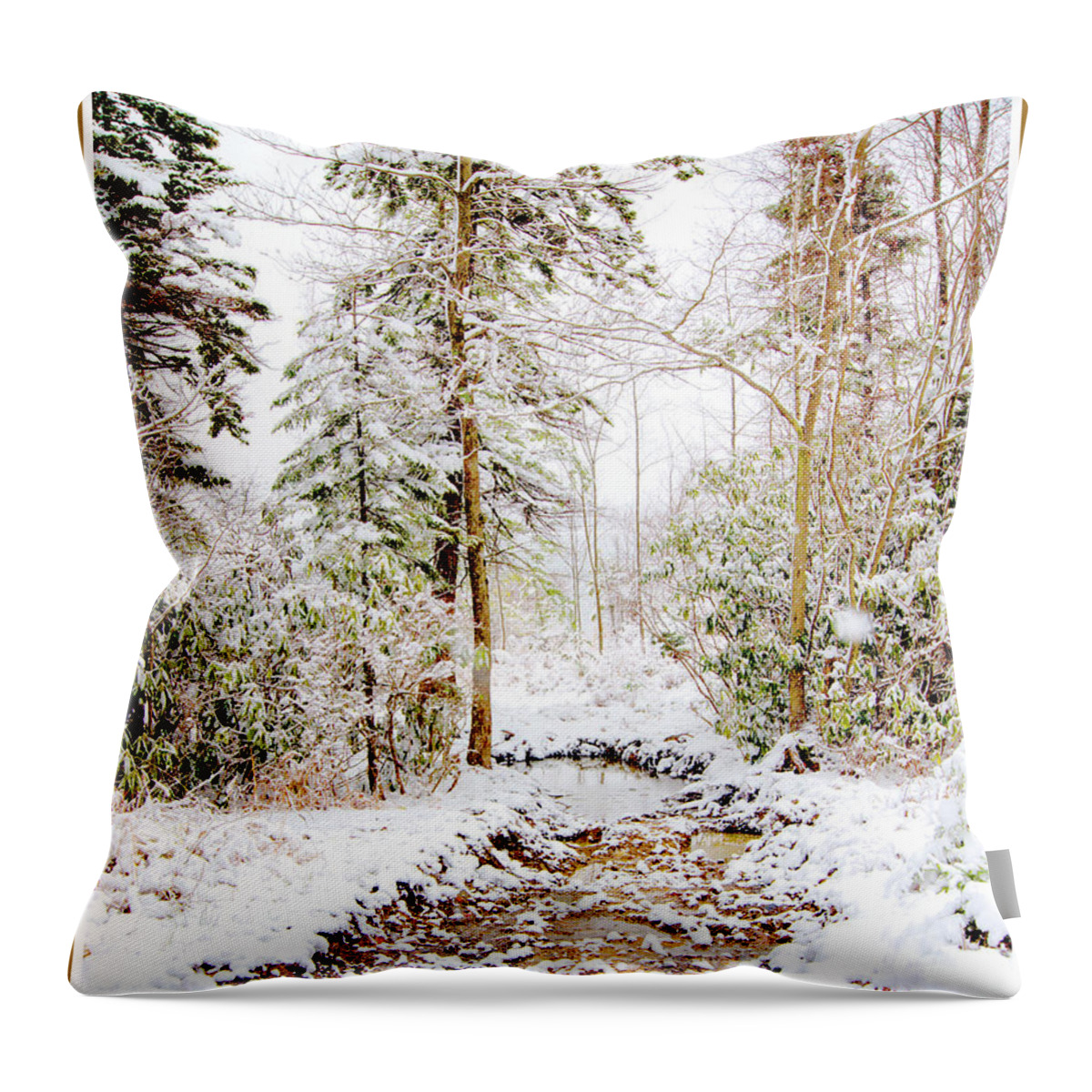 Stream Throw Pillow featuring the photograph Small Mountain Stream in Winter #1 by A Macarthur Gurmankin