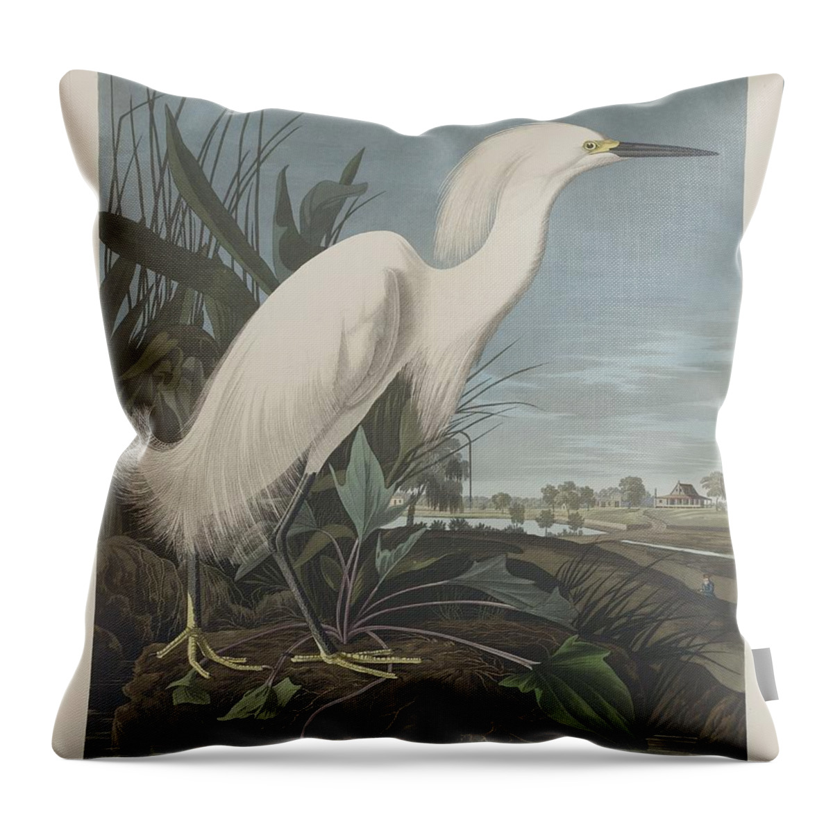 Audubon Throw Pillow featuring the drawing Snowy Heron or White Egret #1 by Dreyer Wildlife Print Collections 
