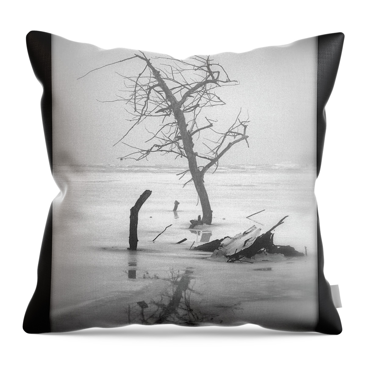 Black And White Photography Throw Pillow featuring the photograph Solitude #1 by Sue Stefanowicz