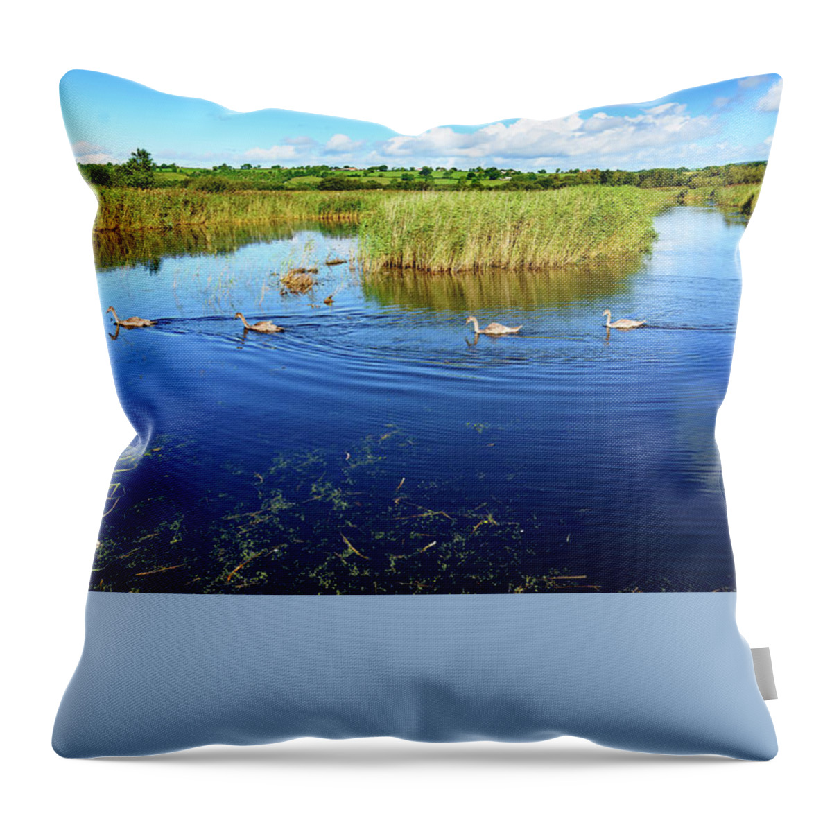 Landscape Throw Pillow featuring the photograph Somerset Levels #2 by Colin Rayner