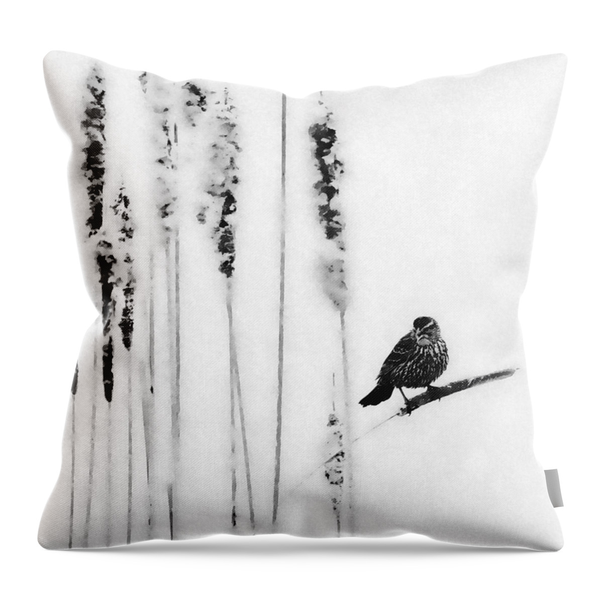 Song Bird Throw Pillow featuring the photograph Song Bird #1 by Andrea Kollo