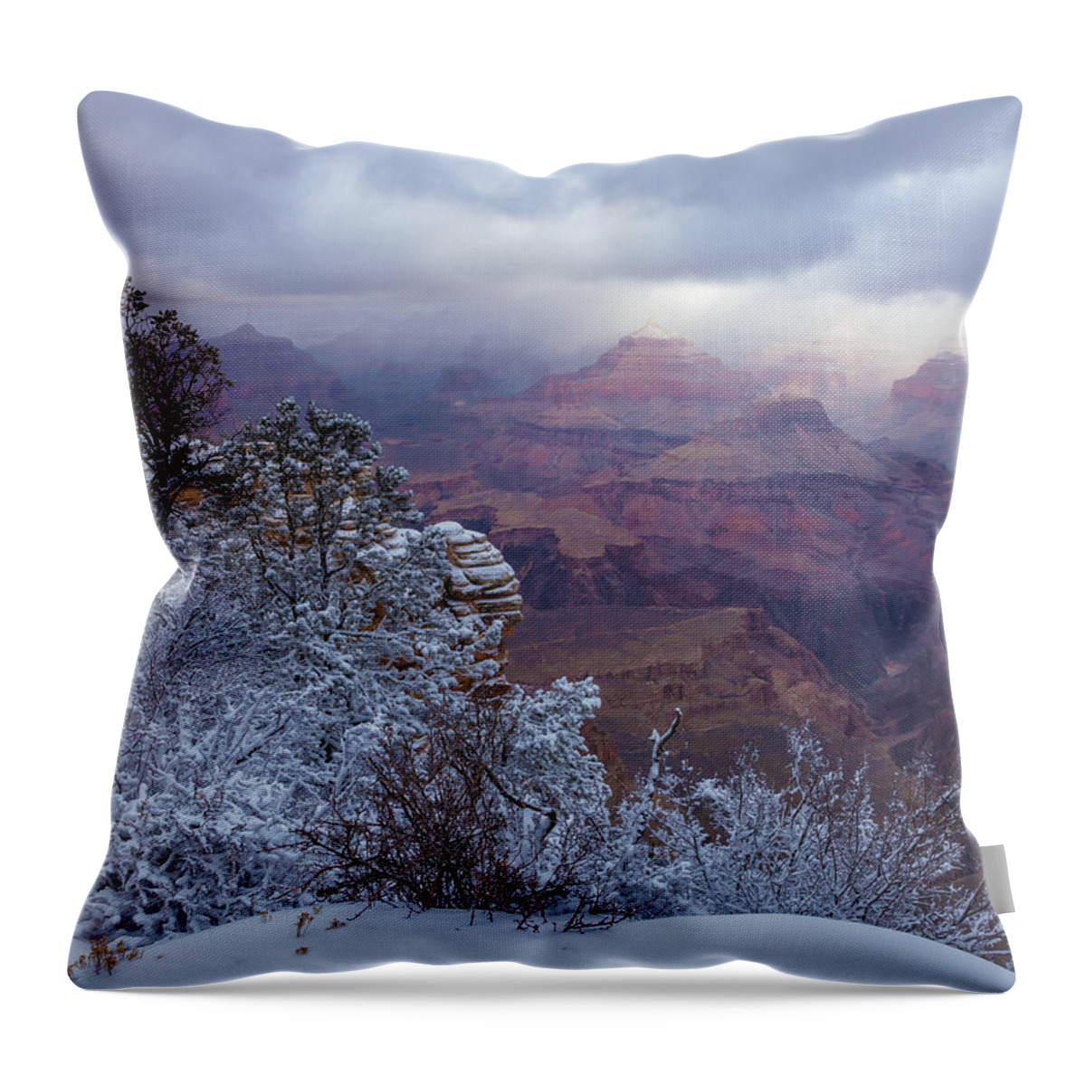 Landscape Throw Pillow featuring the photograph Spot Light #1 by Jonathan Nguyen