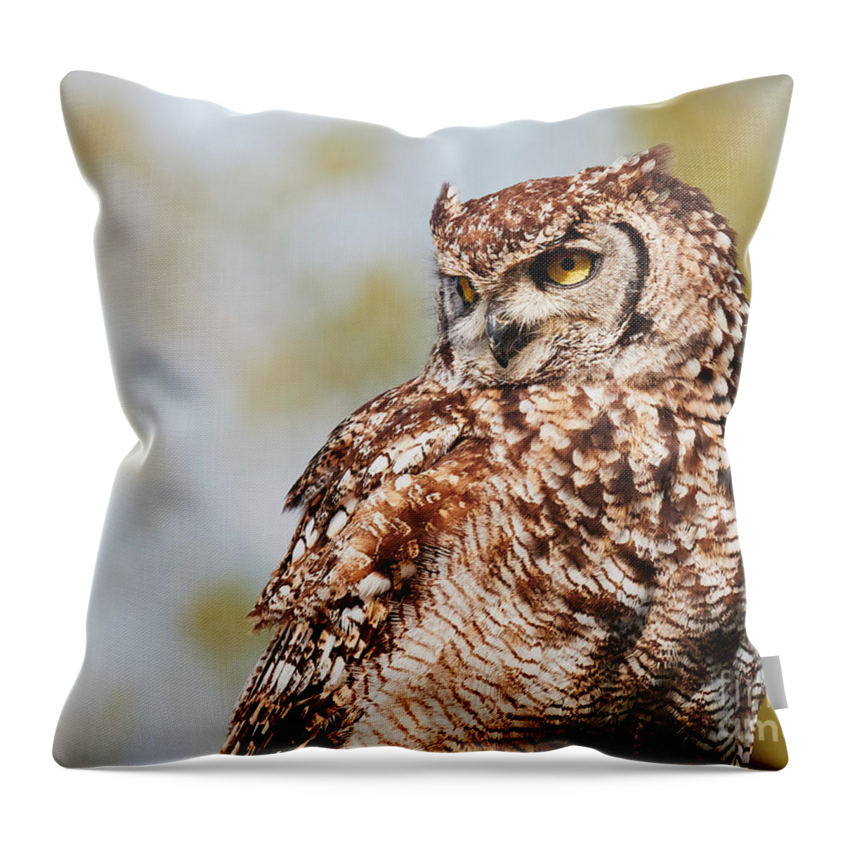 Closeup Throw Pillow featuring the photograph Spotted eagle-owl in a tree #1 by Nick Biemans
