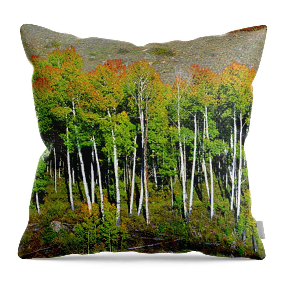 Spreading Out Throw Pillow featuring the photograph Spreading out #2 by David Lee Thompson