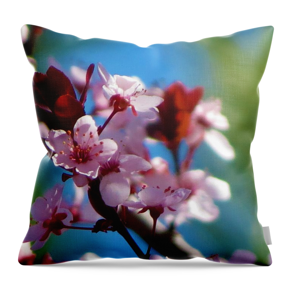 Spring Throw Pillow featuring the photograph Spring Blossoms #1 by Vijay Sharon Govender