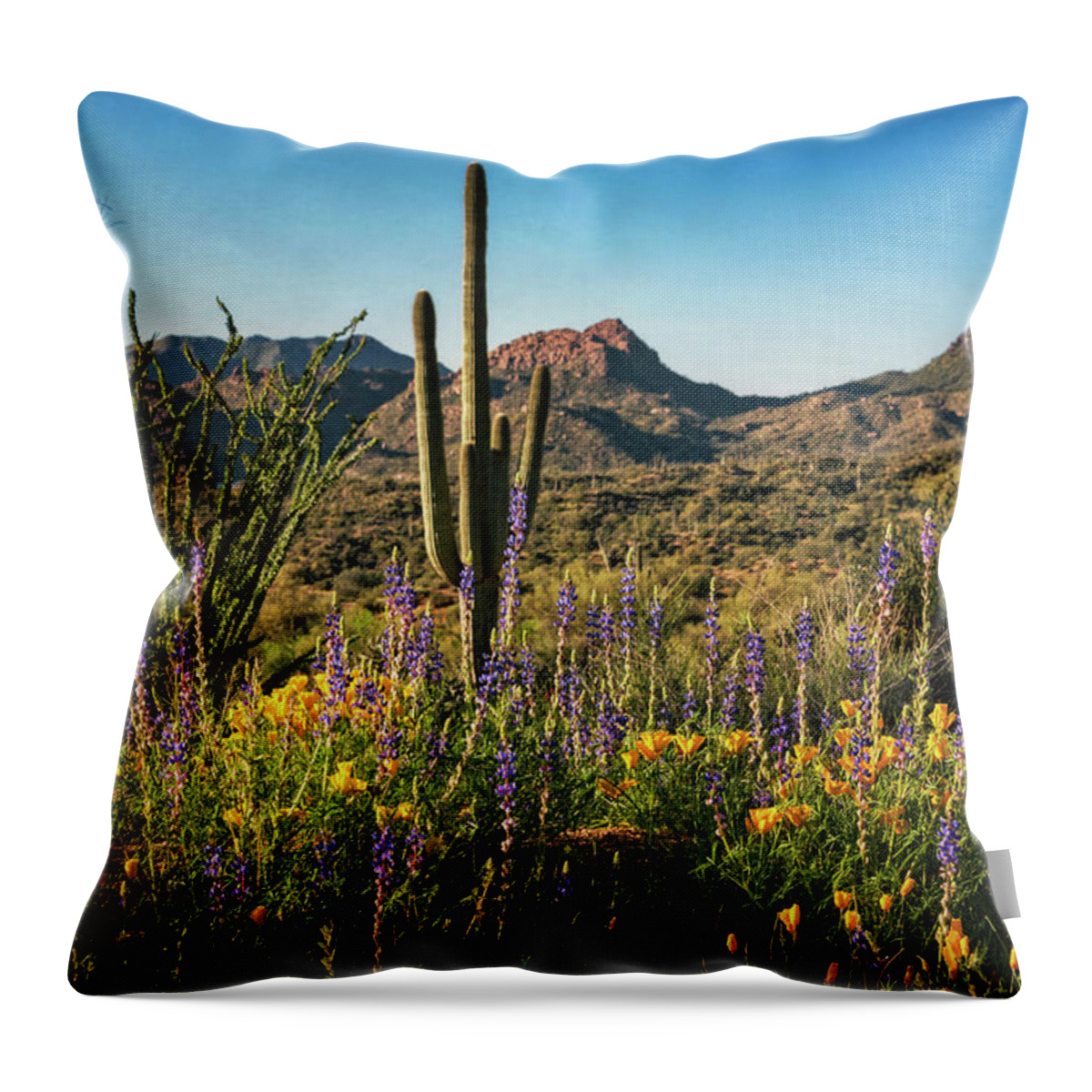 Poppies Throw Pillow featuring the photograph Spring in the Sonoran #2 by Saija Lehtonen