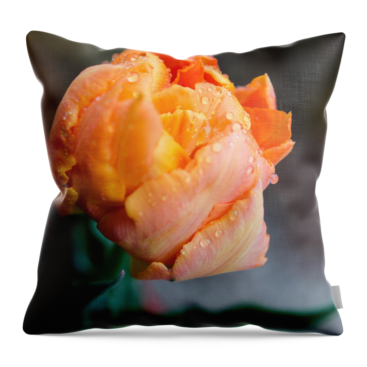 Winterpacht Throw Pillow featuring the photograph Spring Rains on Flowers by Miguel Winterpacht