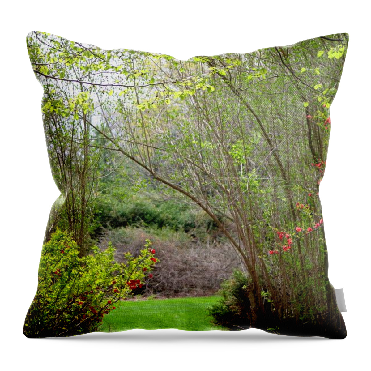 Spring Throw Pillow featuring the photograph Spring Stroll #1 by Living Color Photography Lorraine Lynch