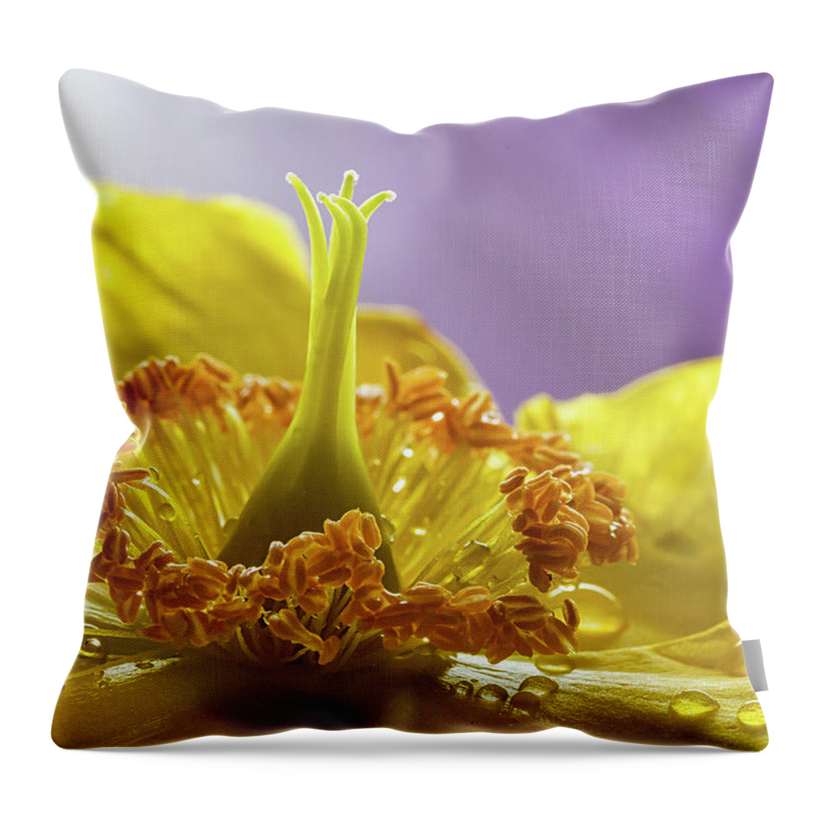 Wort Throw Pillow featuring the photograph St Johns Wort Flower #1 by Shirley Mitchell