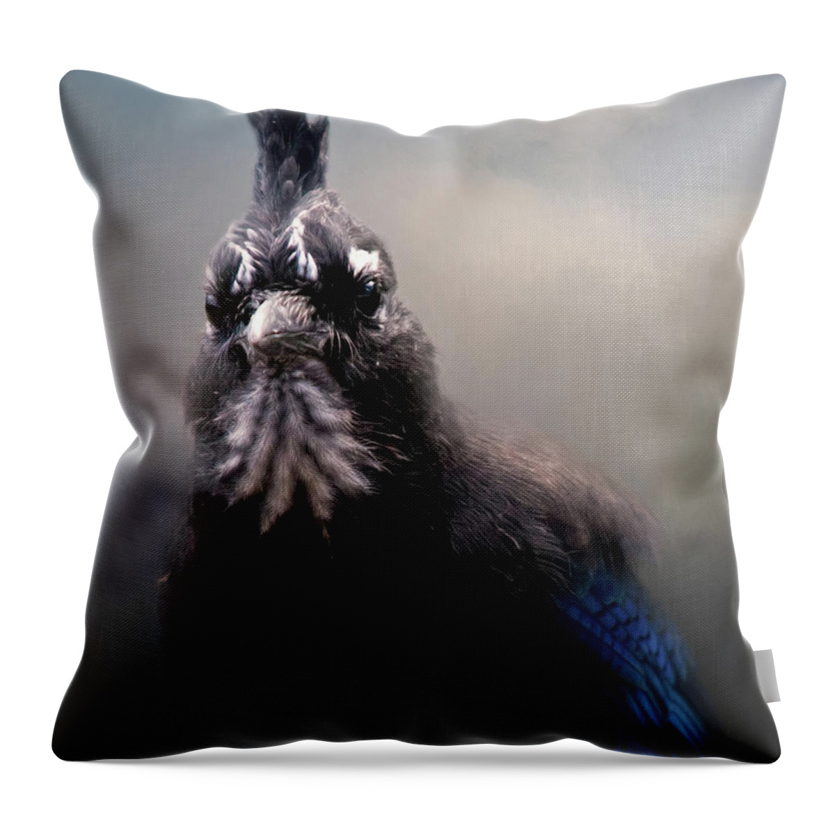 Animal Throw Pillow featuring the photograph Steller's Jay #1 by Lana Trussell
