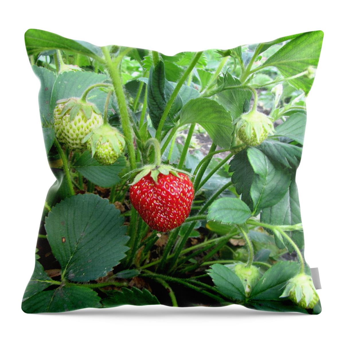 Strawberry Throw Pillow featuring the photograph Strawberry #1 by Jackie Russo