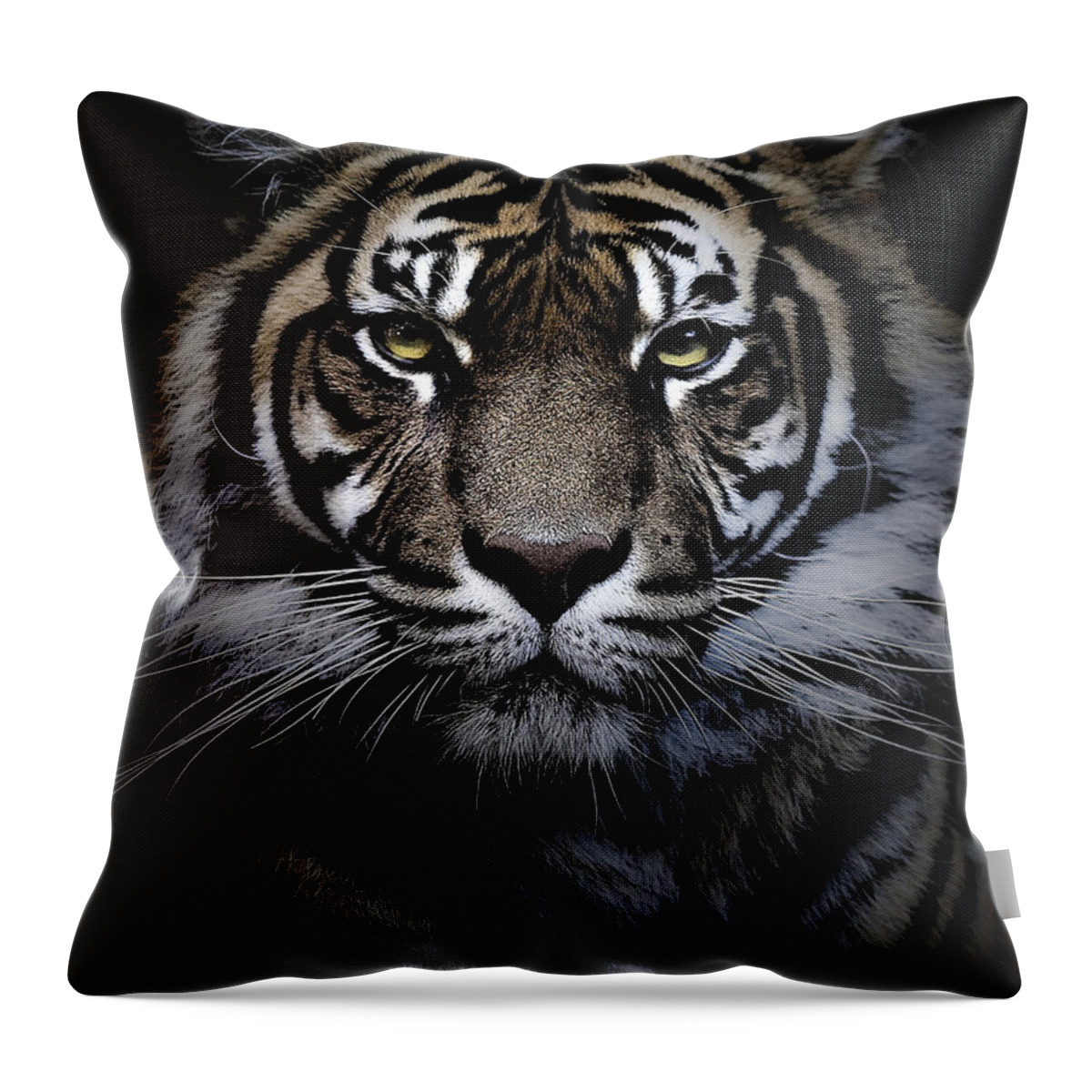Sumatran Tiger Throw Pillow featuring the photograph Sumatran tiger #3 by Sheila Smart Fine Art Photography