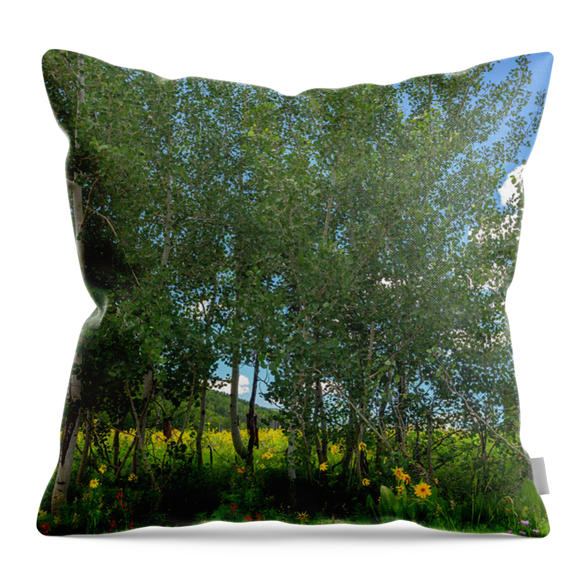 Wildflowers Throw Pillow featuring the photograph Summer Wildflowers #1 by Tim Reaves