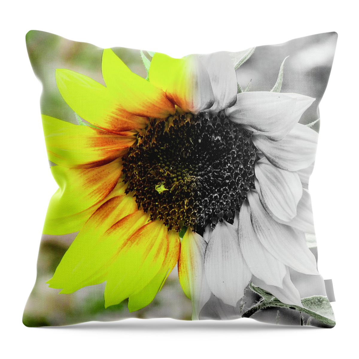 Flower Throw Pillow featuring the photograph Sunflower #1 by Cesar Vieira
