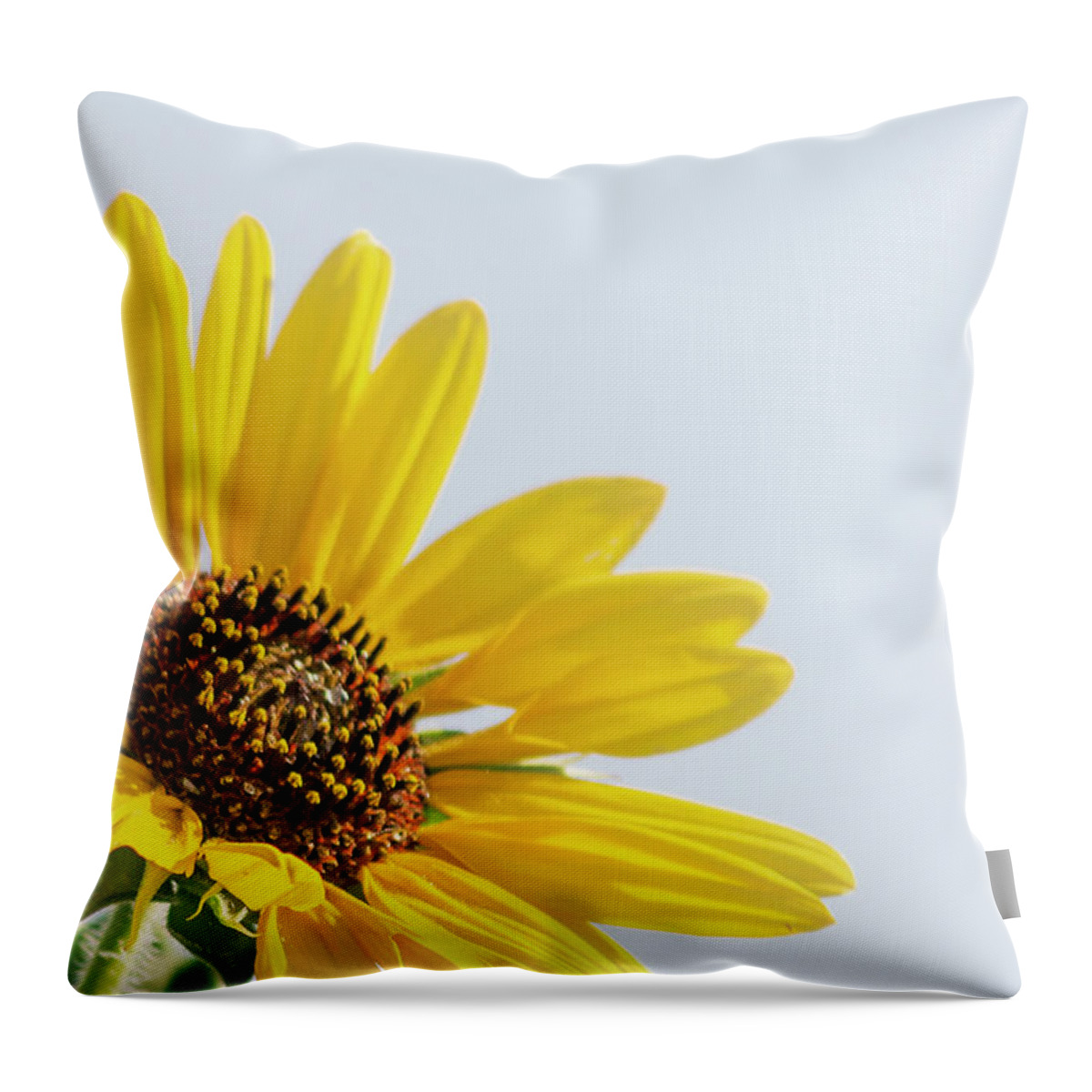 Beautiful Throw Pillow featuring the digital art Sunflowers #1 by Brad Thornton