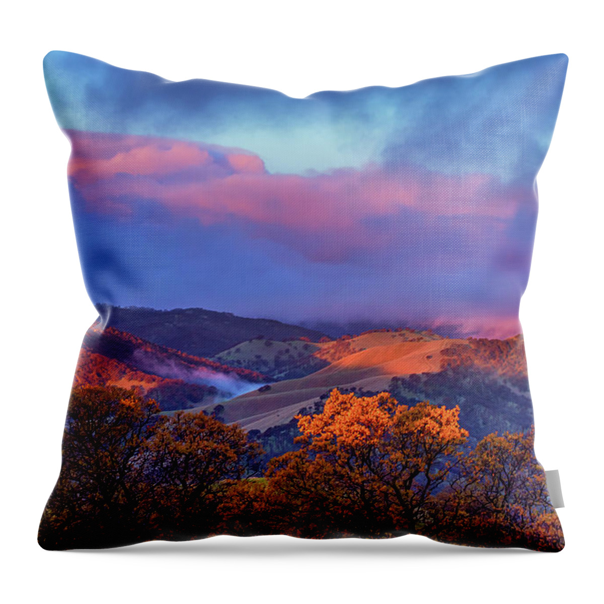 Landscape Throw Pillow featuring the photograph Sunrise Light #1 by Marc Crumpler