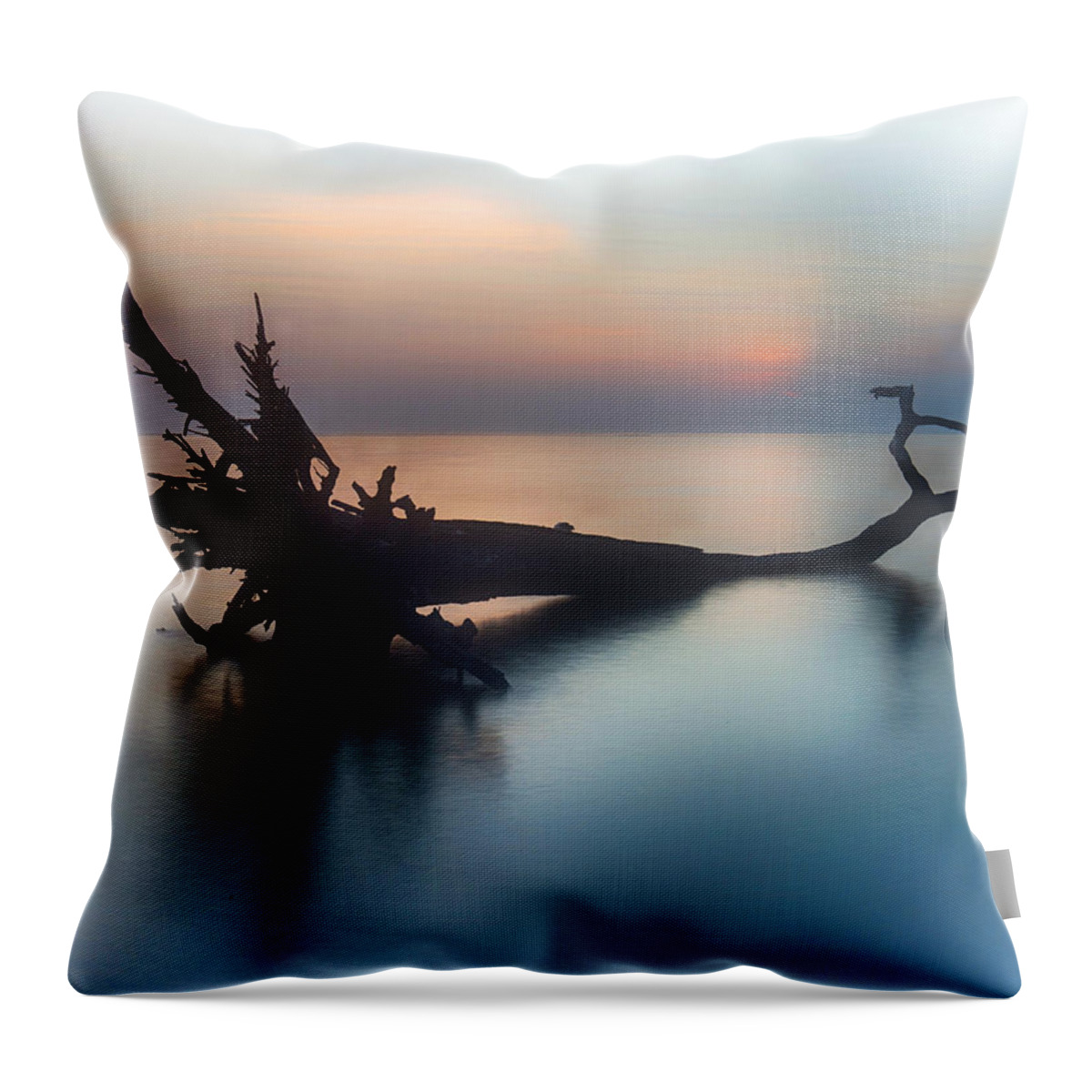 Tree Throw Pillow featuring the photograph Surrounded #1 by Alan Raasch