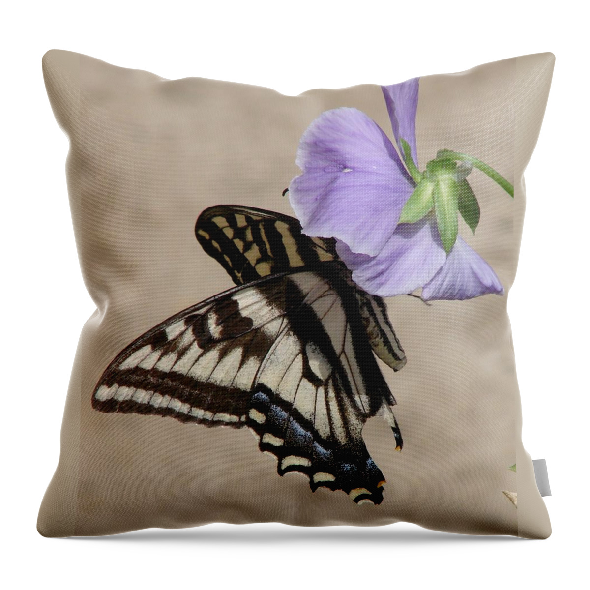 Butterfly Throw Pillow featuring the photograph Swallowtail #1 by Liz Vernand