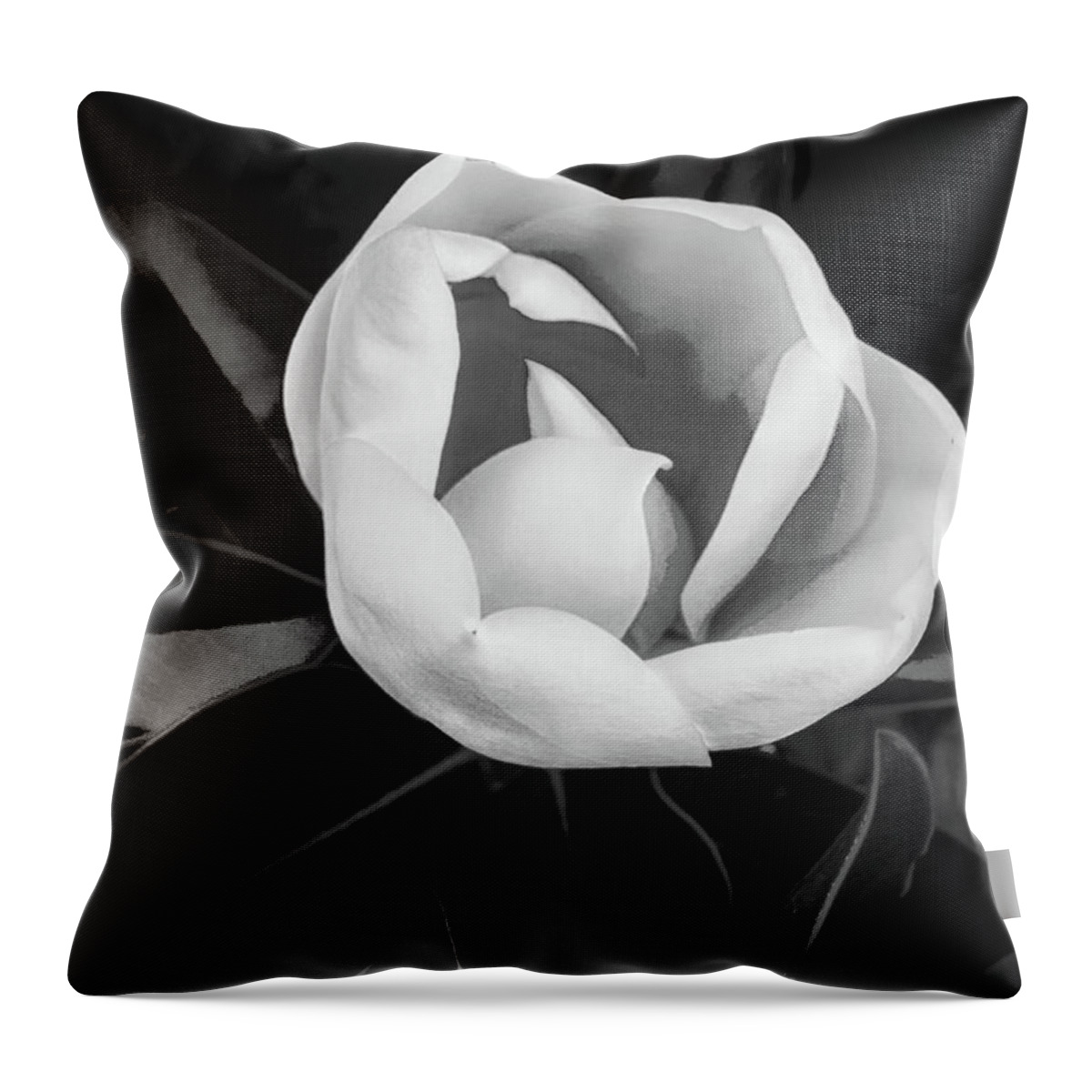 Flower Throw Pillow featuring the photograph Sweet Magnolia #1 by Joseph Hollingsworth