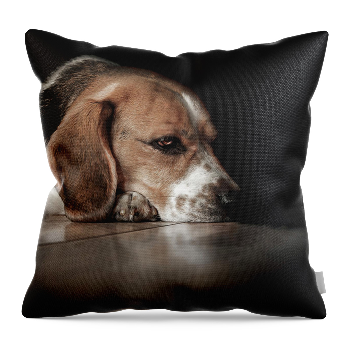 Beagle Throw Pillow featuring the photograph The Day Dreamer #1 by Paul Neville