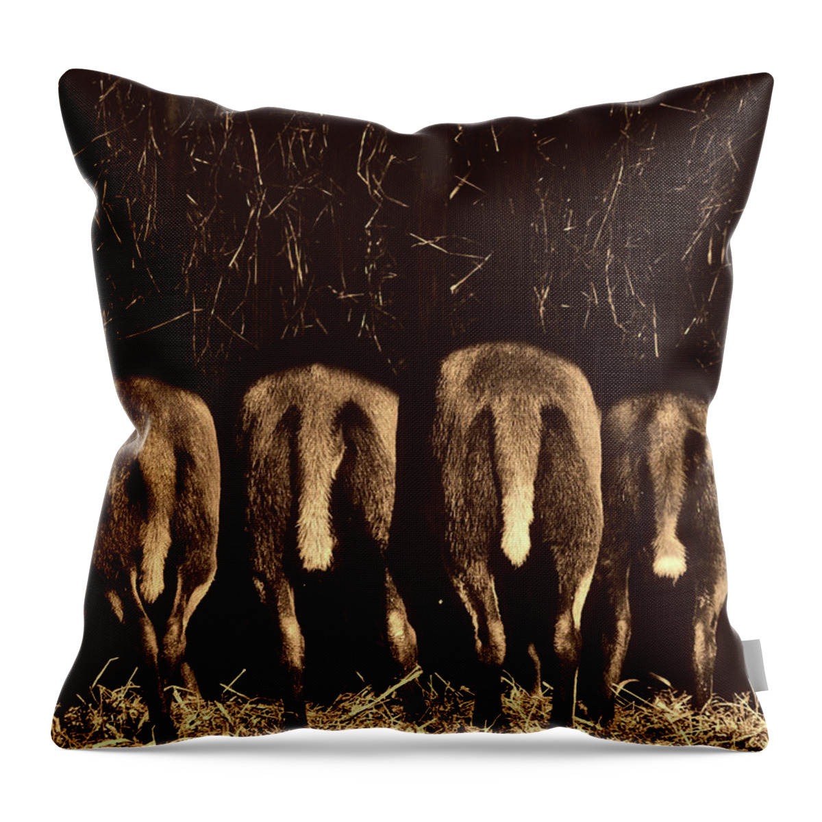 Butt Throw Pillow featuring the photograph The End #1 by Mountain Dreams