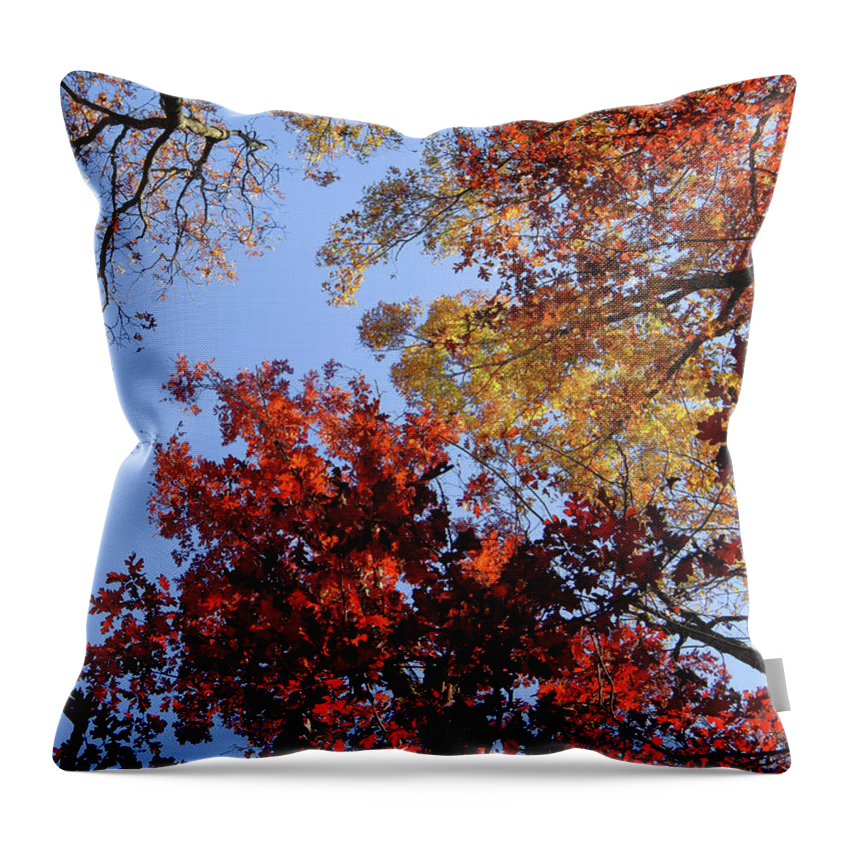 2016 Throw Pillow featuring the photograph The Fall #1 by Glenn DiPaola