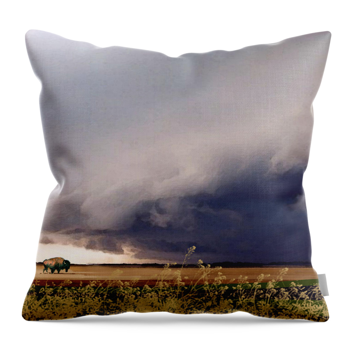 Buffalo Throw Pillow featuring the painting The Great Plains #1 by Paul Sachtleben