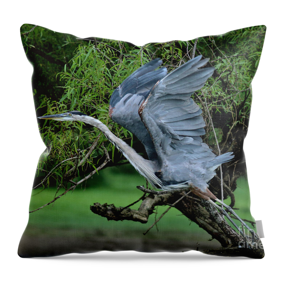 Great Throw Pillow featuring the photograph The Launch #1 by Douglas Stucky