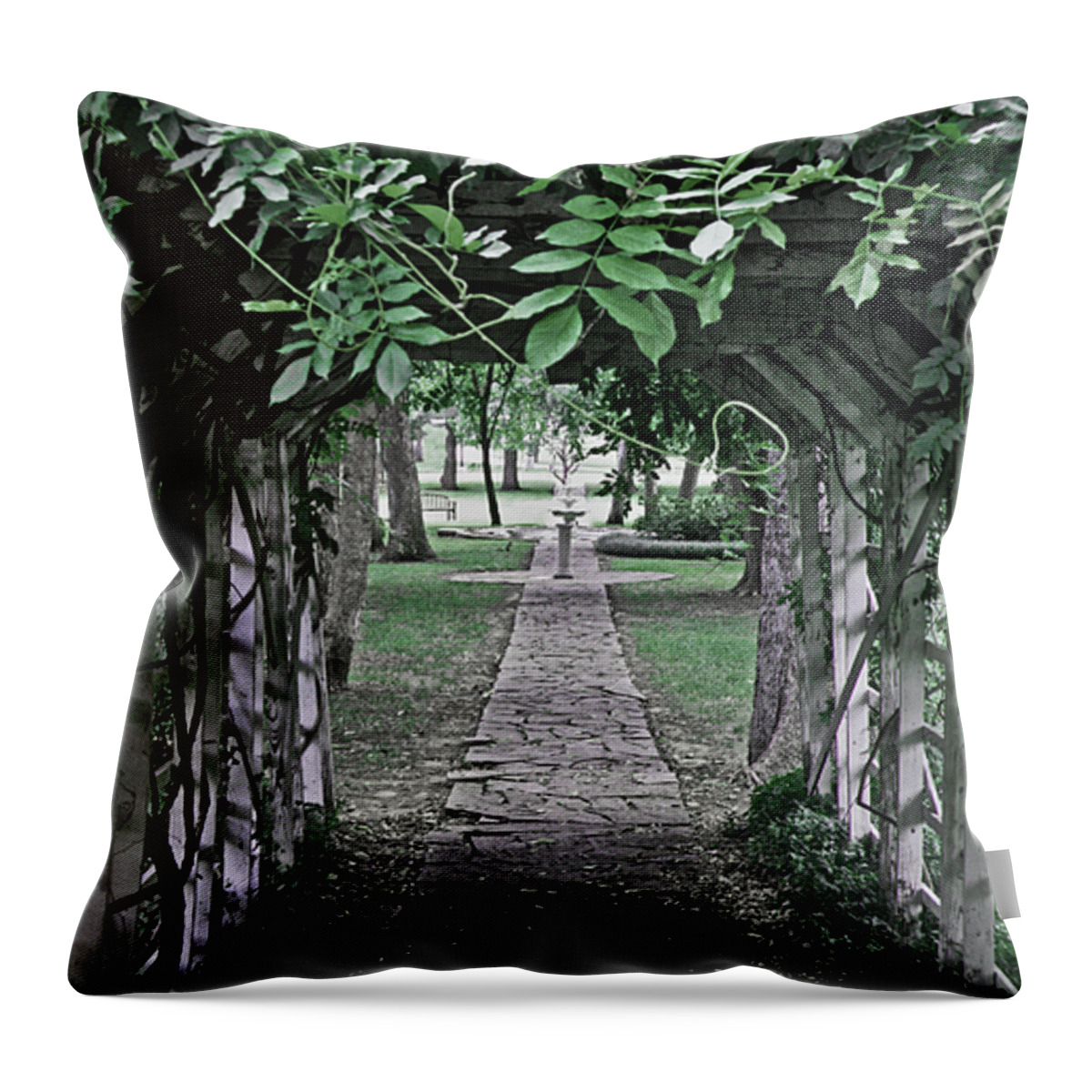 Trellis Throw Pillow featuring the photograph The Other Side by Donna Shahan