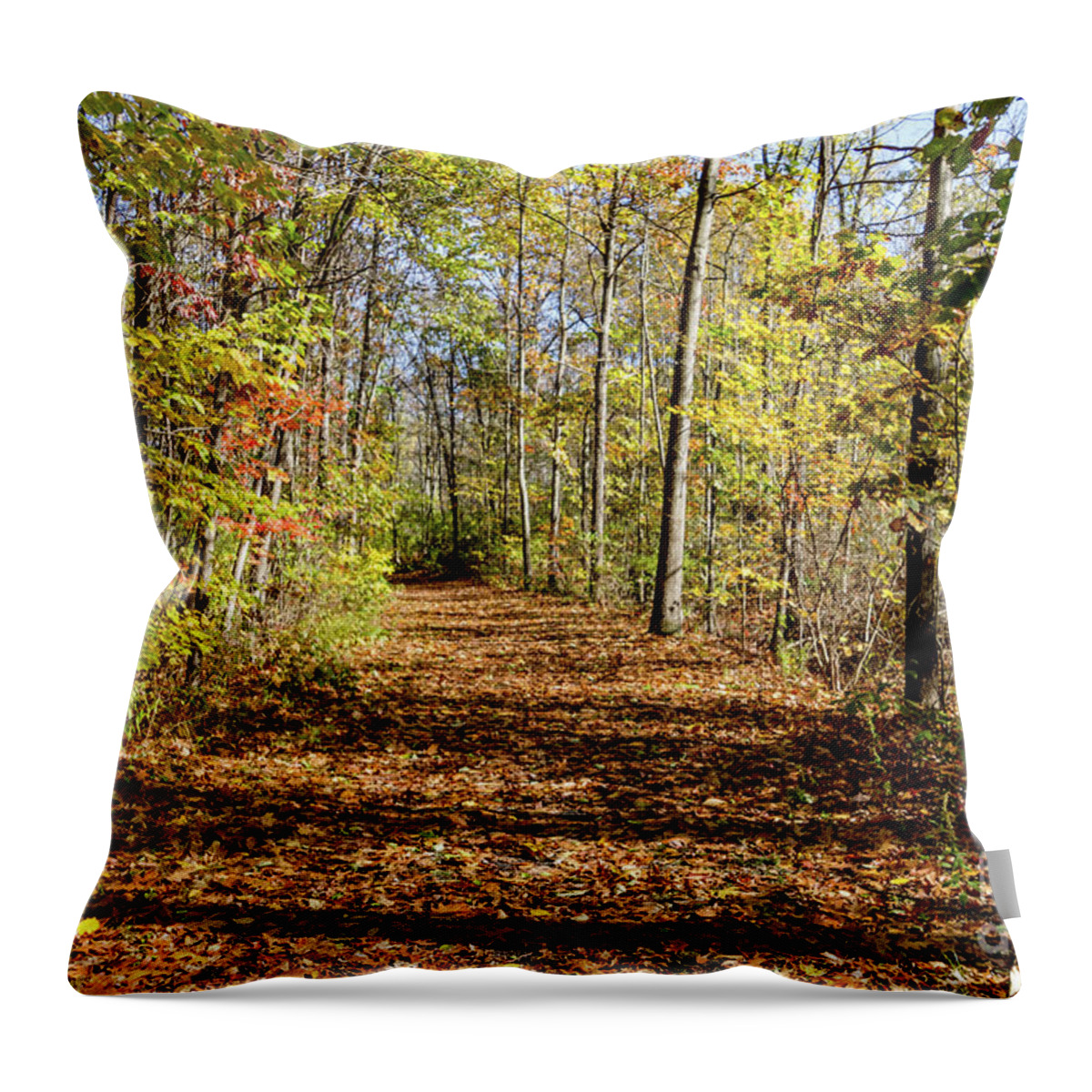 Outlet Throw Pillow featuring the photograph The Outlet Trail #1 by William Norton
