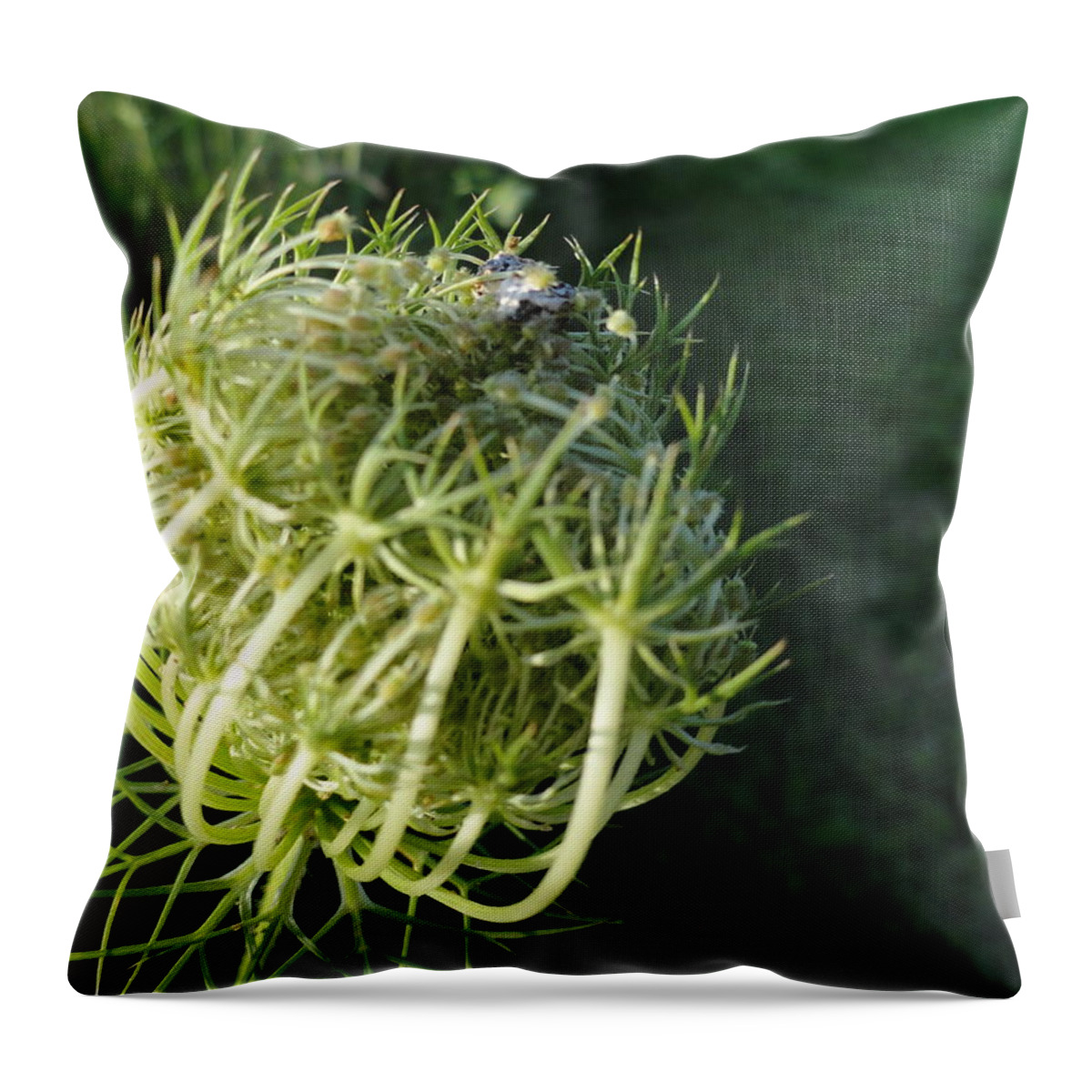 Throw Pillow featuring the photograph The Queen Is Home #1 by Trish Hale