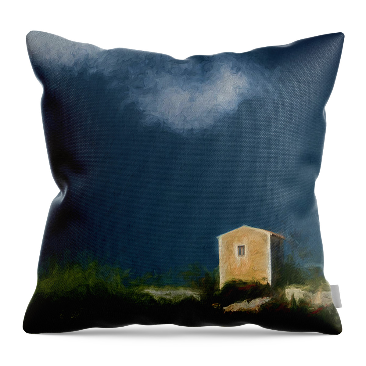 Shack Throw Pillow featuring the photograph The Shack #1 by Mike Nellums