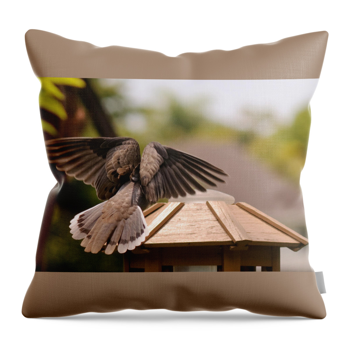 Mourning Dove Throw Pillow featuring the photograph The View From My Window - Mourning Dove #1 by Winston D Munnings