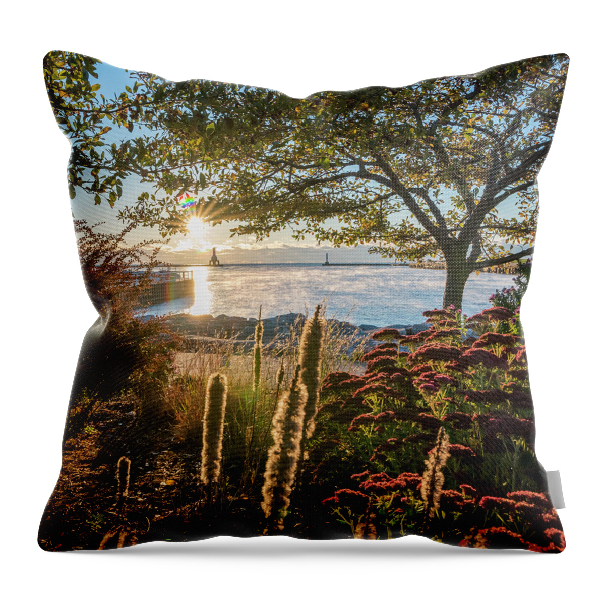 Port Washington Throw Pillow featuring the photograph The View #1 by James Meyer