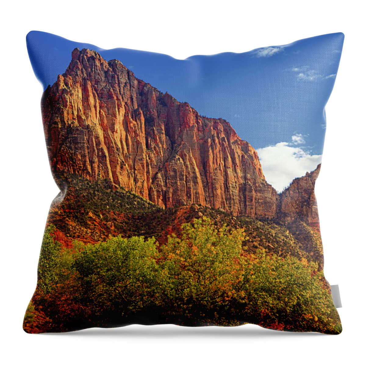 The Watchman Throw Pillow featuring the photograph The Watchman #1 by Raymond Salani III