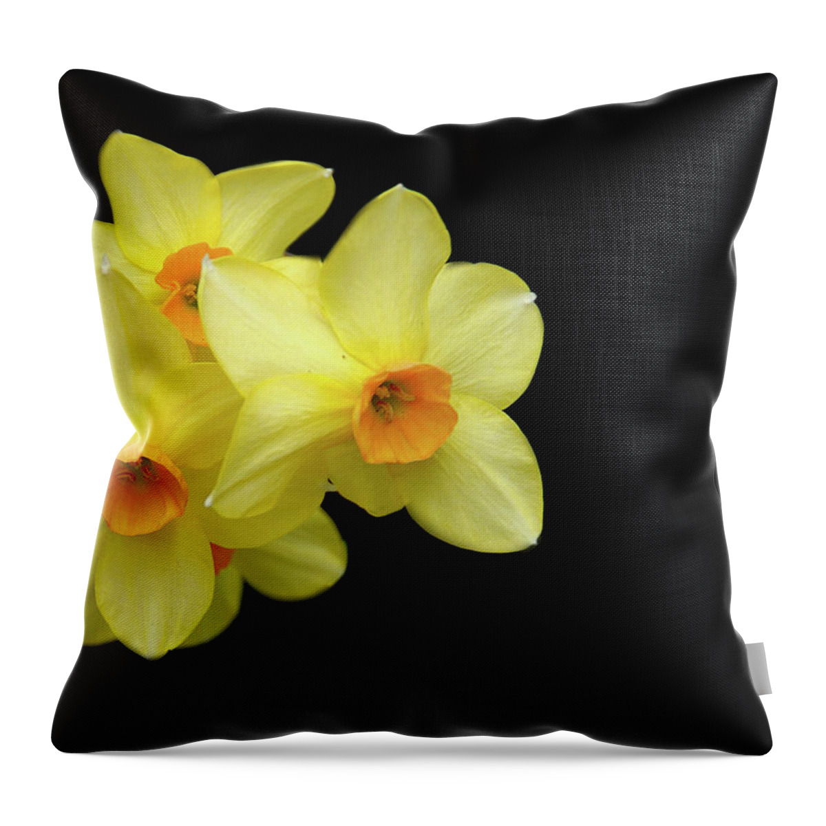 Yellow Throw Pillow featuring the photograph Three #1 by Cathy Kovarik