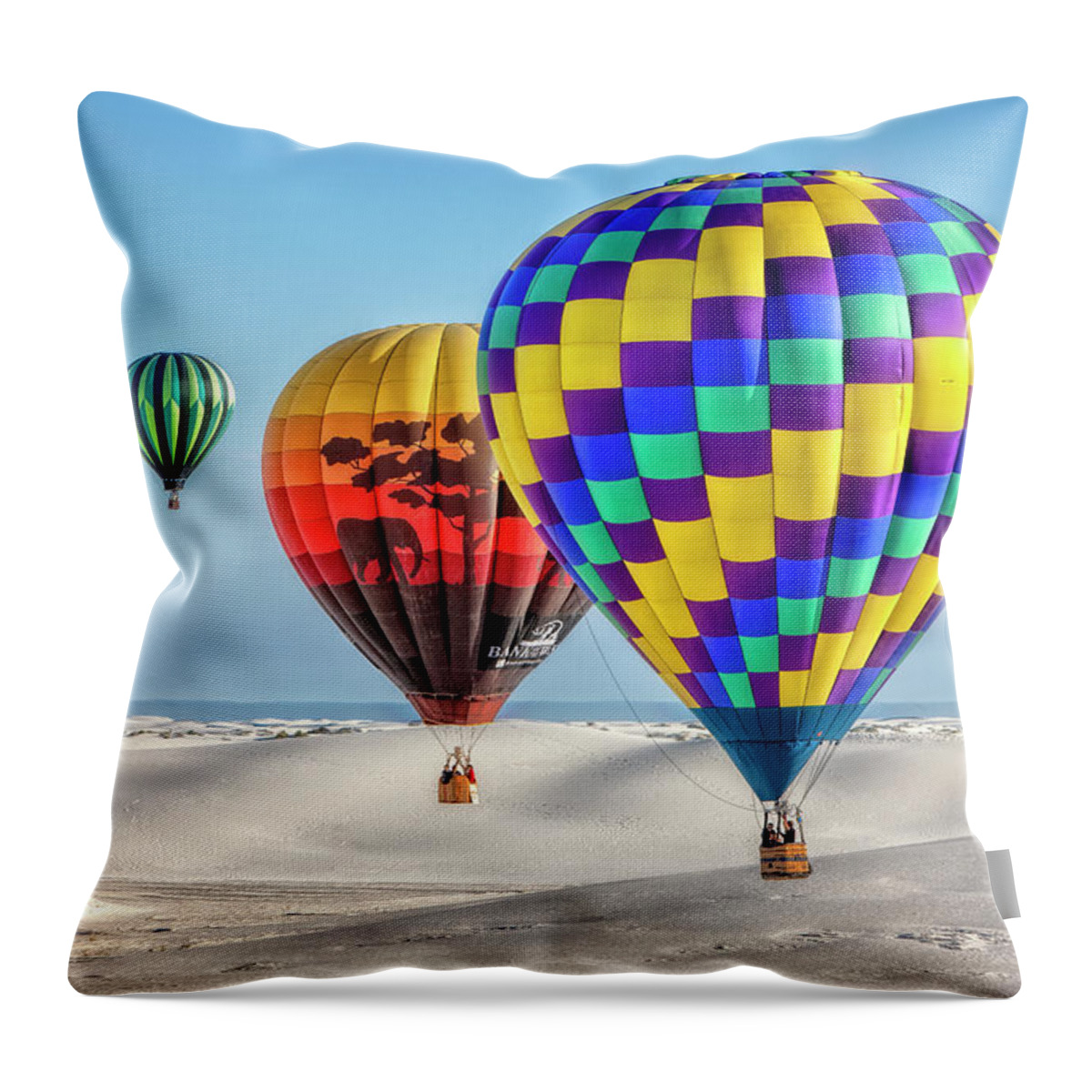 Air Throw Pillow featuring the photograph Three in a Row #1 by Diana Powell