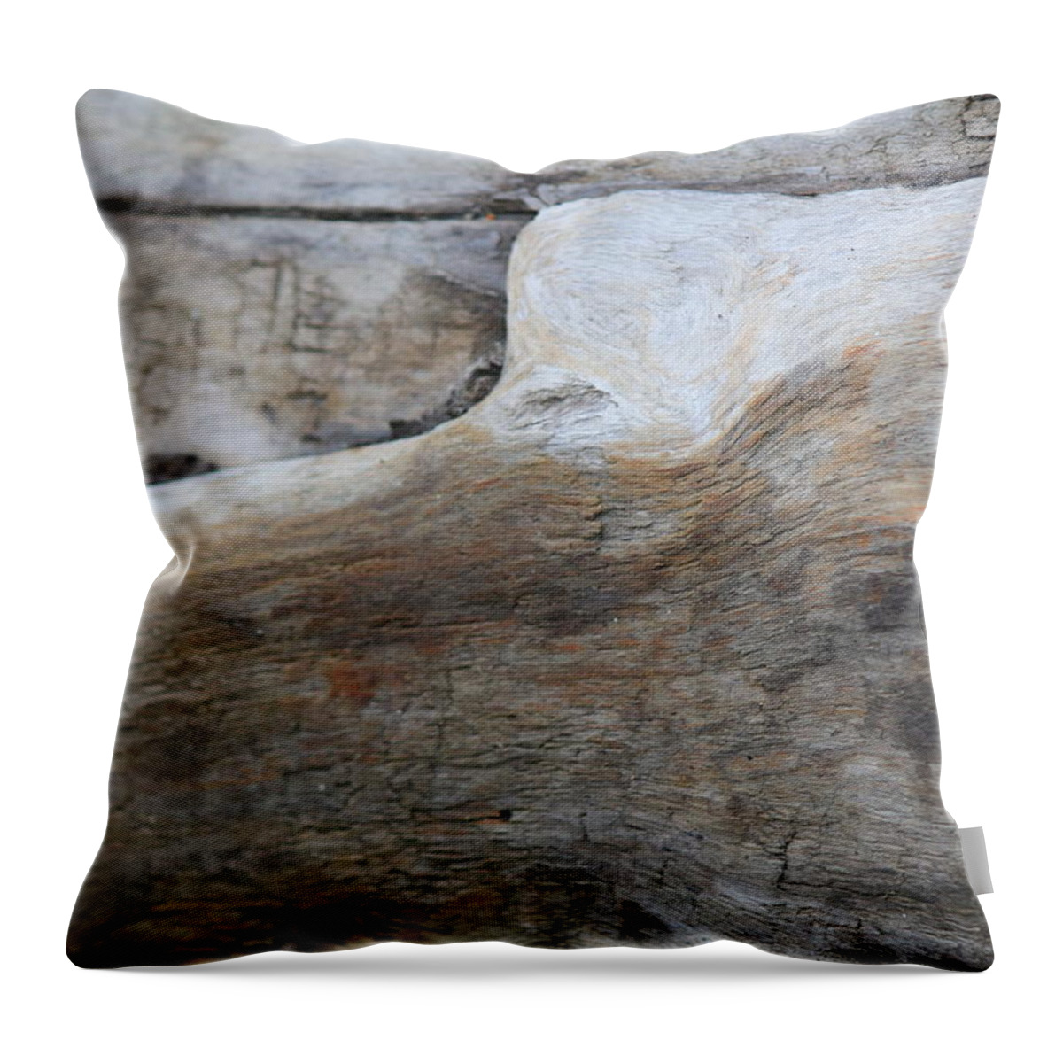Tidal Throw Pillow featuring the photograph Tidal Wood - 1492 by Annekathrin Hansen