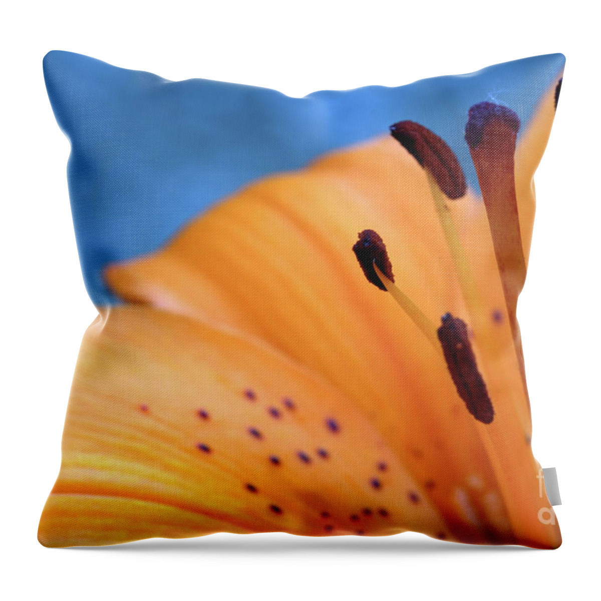 Flora Throw Pillow featuring the photograph Tiger Bright #1 by Stephen Melia