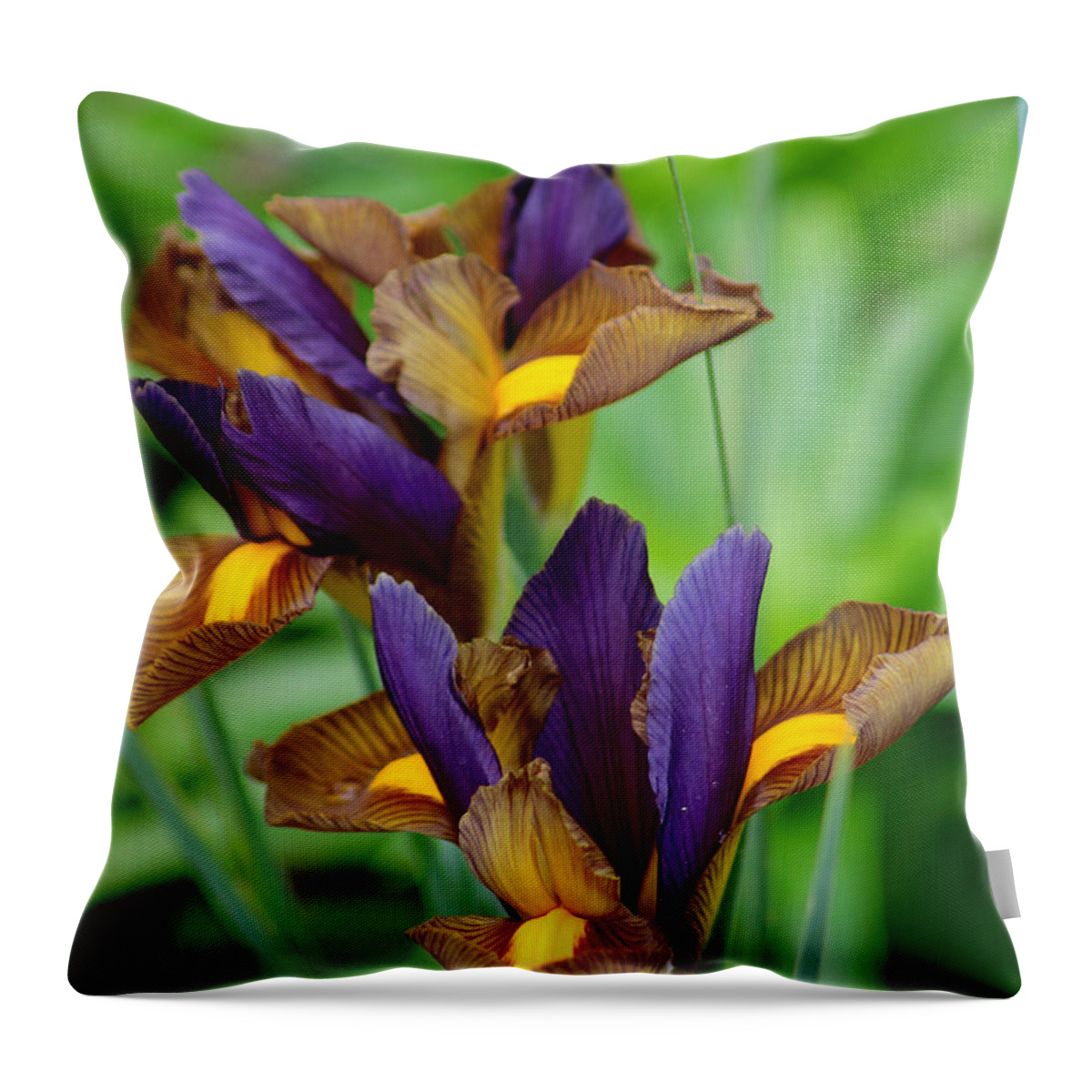 Tiger Irises Throw Pillow featuring the photograph Tiger Irises #1 by Living Color Photography Lorraine Lynch