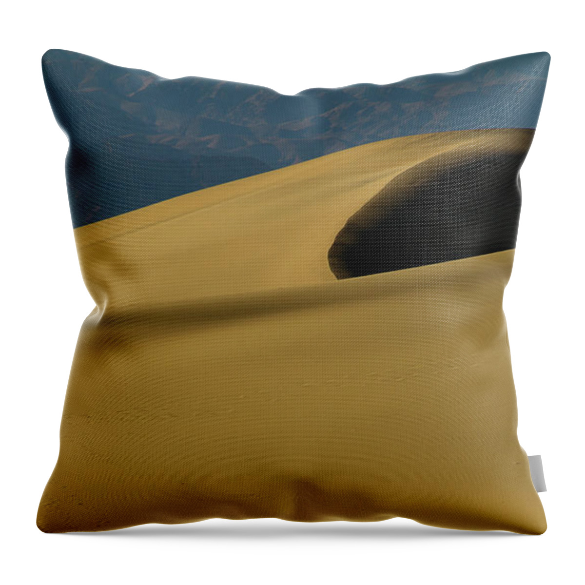 Mesquite Dunes Throw Pillow featuring the photograph Tones of Mesquite #1 by Kunal Mehra