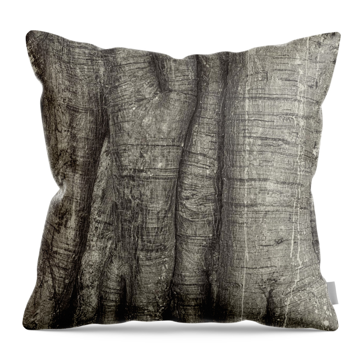 Tree Throw Pillow featuring the photograph Tree trunk #1 by Les Palenik