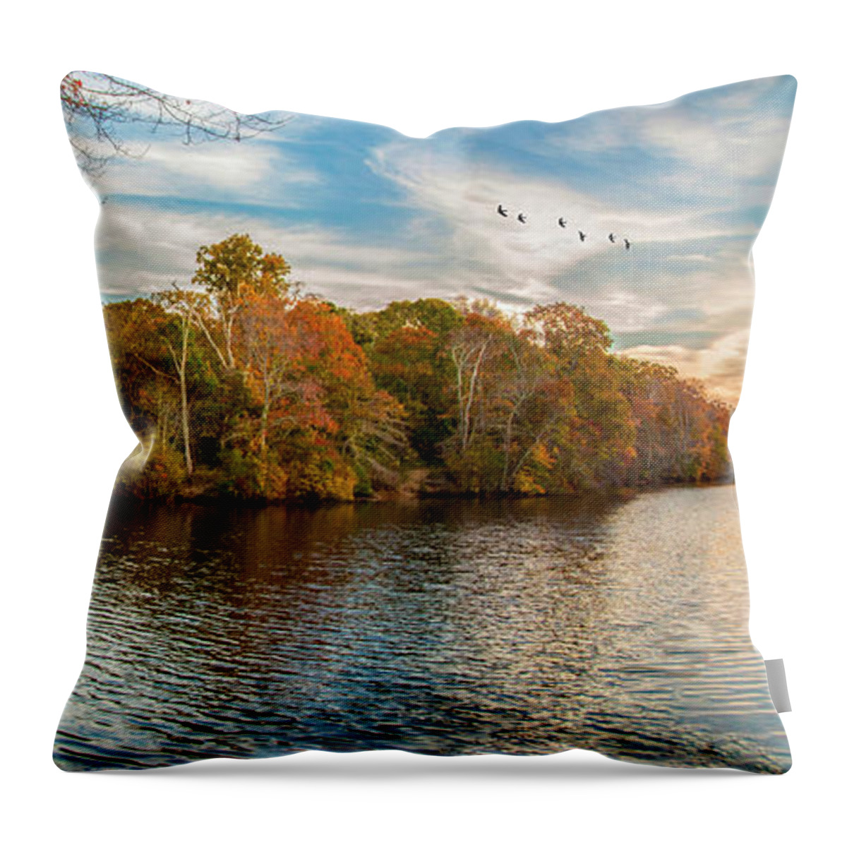 Park Throw Pillow featuring the photograph Trout Pond #1 by Cathy Kovarik