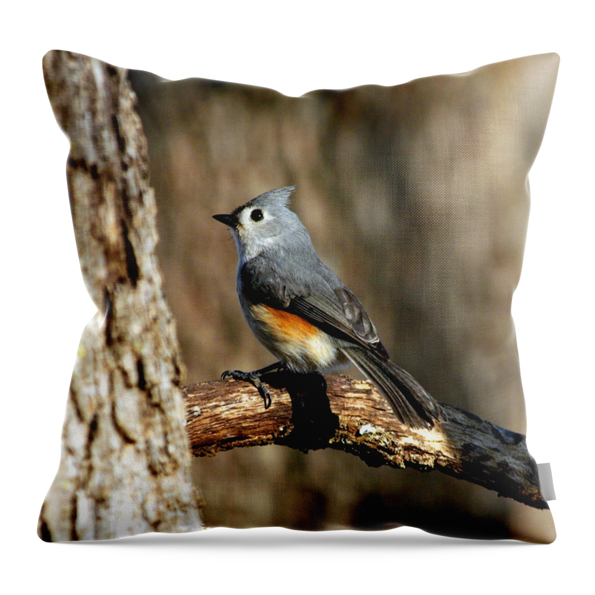 Nature Throw Pillow featuring the photograph Tufted Titmouse on Branch by Sheila Brown