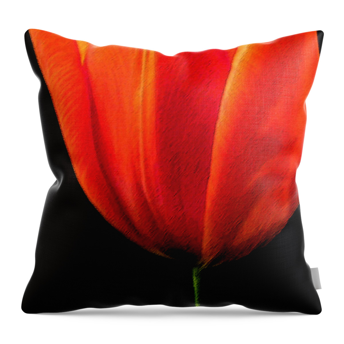 Tulips Throw Pillow featuring the photograph Tulip #1 by Amanda Barcon