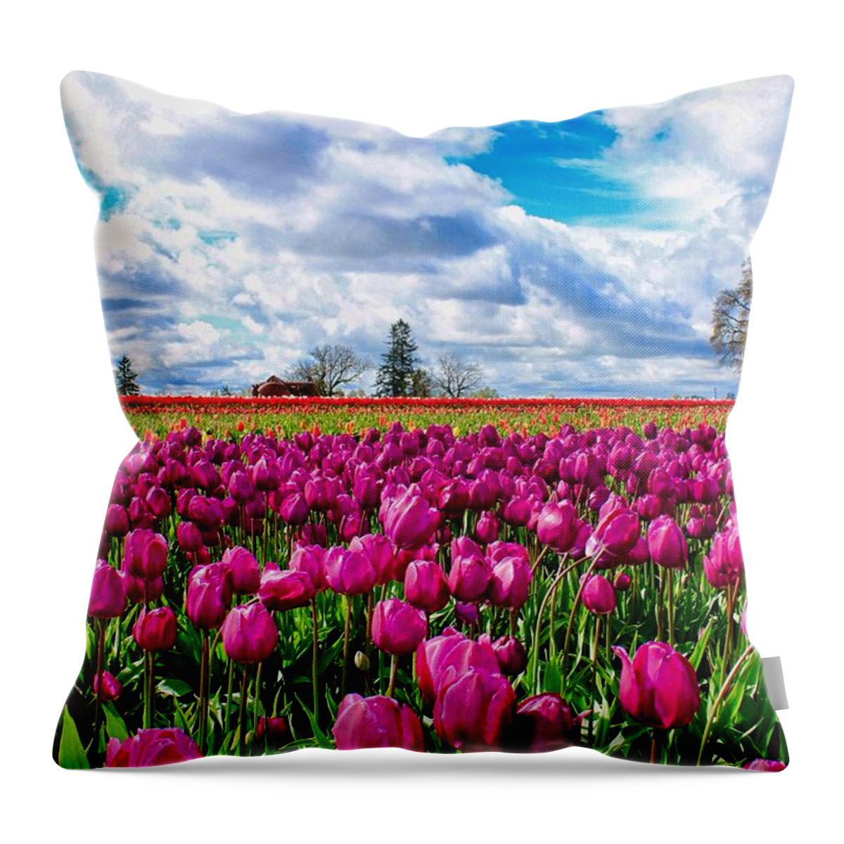 Tulips Throw Pillow featuring the photograph Tulip Field #2 by Brian Eberly