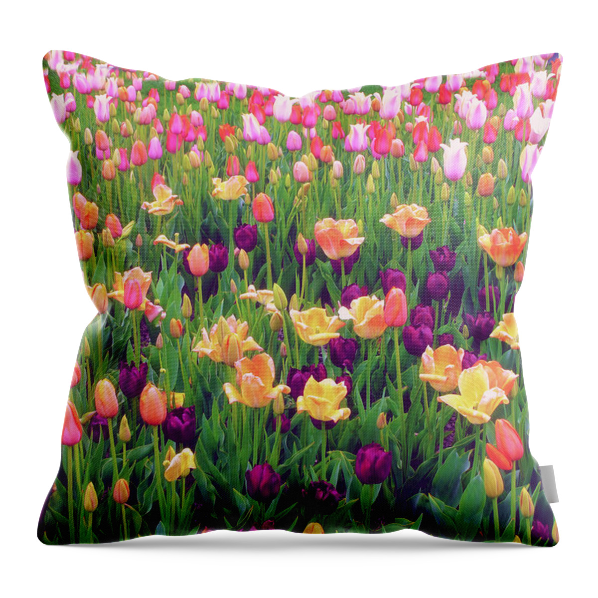 Flowers Throw Pillow featuring the photograph Tulip Field by Jessica Jenney